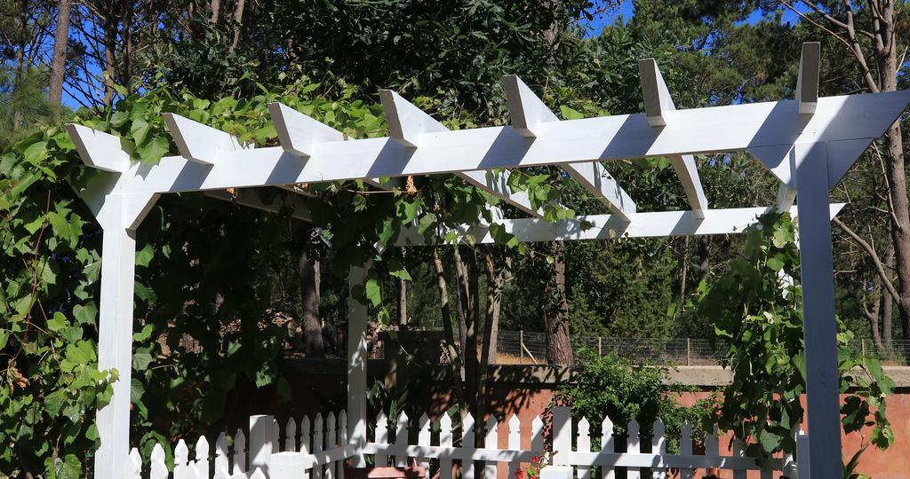 Toscana Boutique -adults Only Punta del Este
